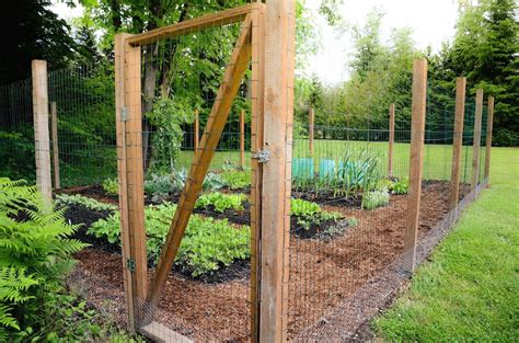 deer proof fence for vegetable garden